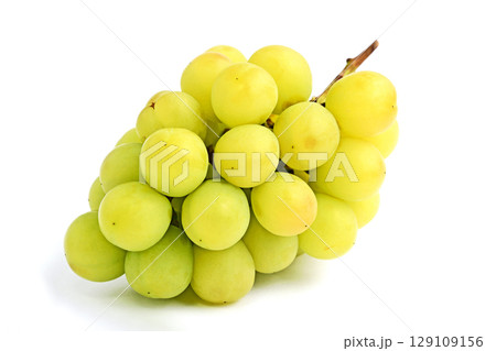 ぶどう（瀬戸ジャイアンツ） 129109156