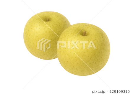 青梨2個の水彩イラスト（切り抜き） 129109310