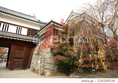 信州上田城の紅葉 信州上田城の紅葉 129109530