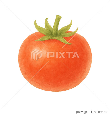 トマトの水彩イラスト(切り抜き) トマトの水彩イラスト(切り抜き) 129109550