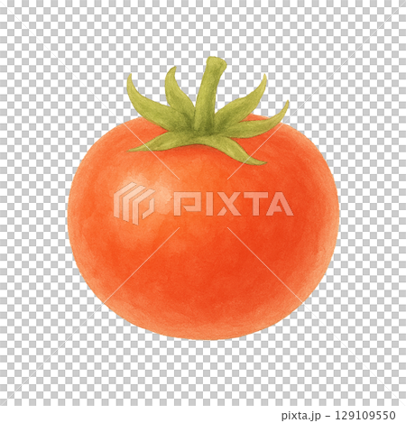 トマトの水彩イラスト(切り抜き) トマトの水彩イラスト(切り抜き) 129109550