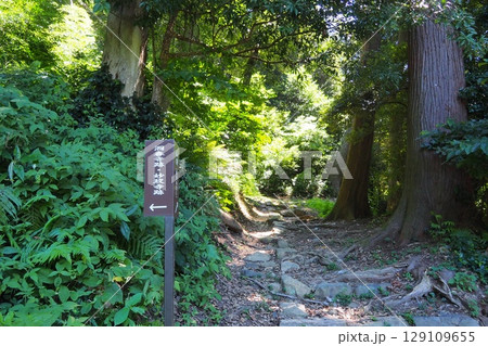 萩城（山口県）　指月山の風景　 129109655