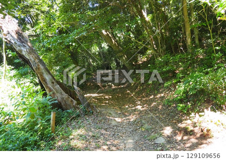 萩城（山口県）　指月山の風景　 129109656