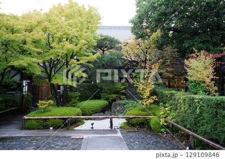 東福寺塔頭芬陀院の庭園 東福寺塔頭芬陀院の庭園 129109846