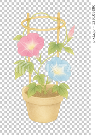 Illustration of a potted morning glory plant with a support (cutout, watercolor style) Illustration of a potted morning glory plant with a support (cutout, watercolor style) 129109890