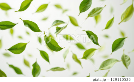 Green tea leaves floating in mid air with fresh vibrant green color and natural texture creating lively and refreshing atmosphere 129110526