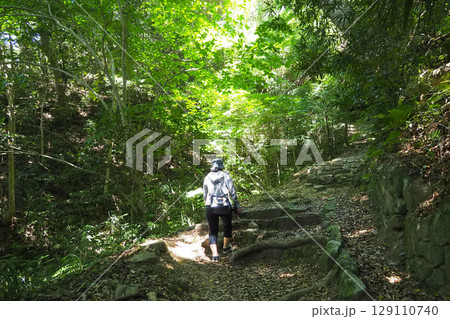 萩城（山口県）指月山をハイキングする女性の後ろ姿 129110740