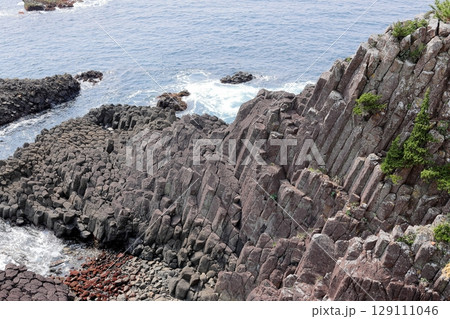 伊豆半島　爪木崎　俵磯 129111046