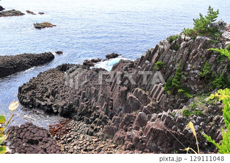 伊豆半島 爪木崎 俵磯 伊豆半島 爪木崎 俵磯 129111048