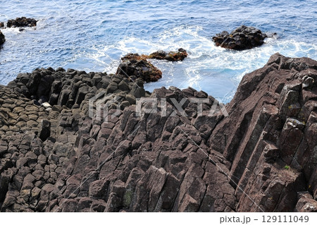 伊豆半島 爪木崎 俵磯 伊豆半島 爪木崎 俵磯 129111049