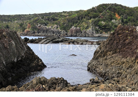 伊豆半島 爪木崎 俵磯 伊豆半島 爪木崎 俵磯 129111384
