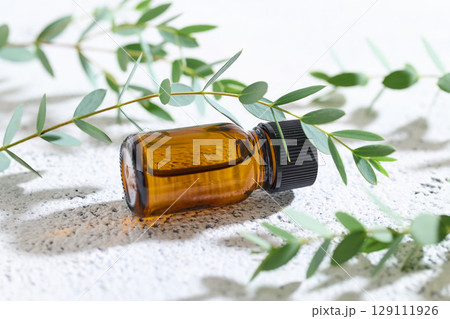 アロマオイル ユーカリ アロマオイル ユーカリ 129111926