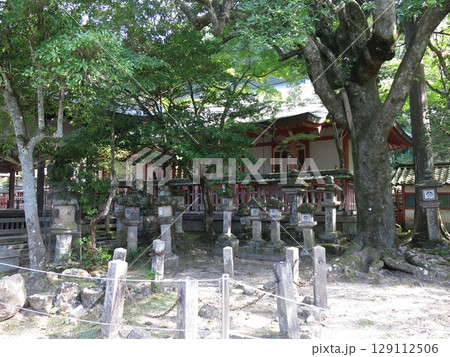 奈良市の手向山八幡宮 129112506
