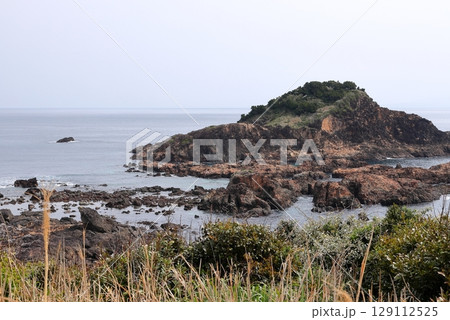 伊豆半島 爪木崎 眺望 伊豆半島 爪木崎 眺望 129112525