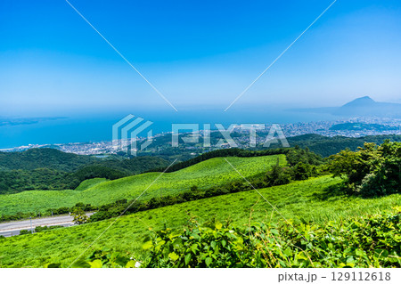 十文字原展望台から別府市の眺め【大分県別府市】 十文字原展望台から別府市の眺め【大分県別府市】 129112618