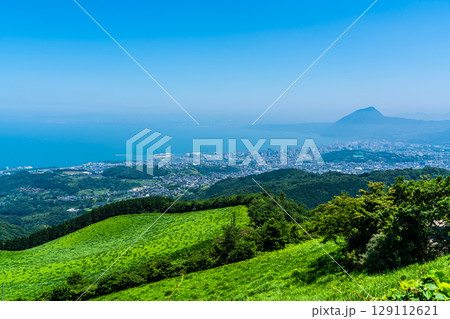 十文字原展望台から別府市の眺め【大分県別府市】 129112621
