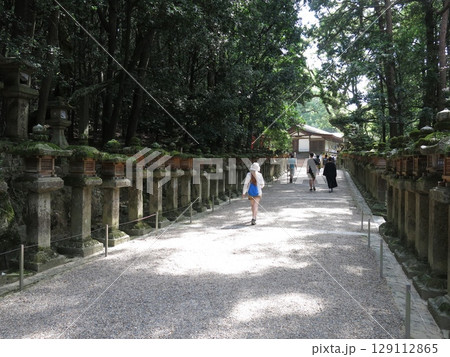 奈良市の春日大社にある御間道(おあいみち) 奈良市の春日大社にある御間道(おあいみち) 129112865