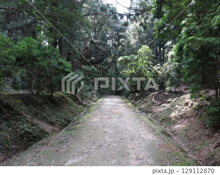 奈良市の春日大社にある下の禰宜道（ささやきの小径） 129112870