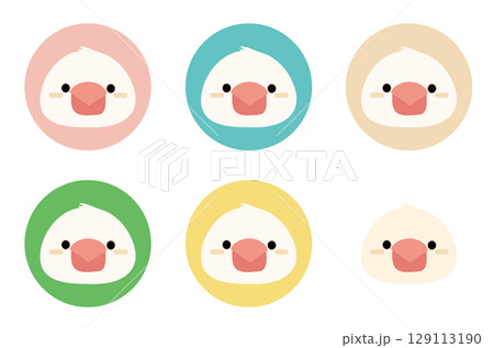 かわいい白文鳥のアイコンセット 129113190