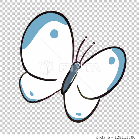 ちょうちょの手描きイラスト 129113500