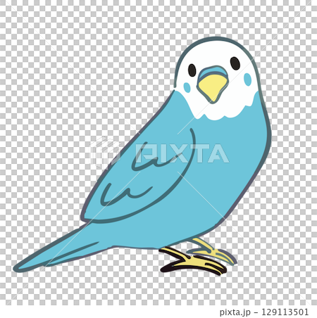 インコの手描きイラスト 129113501