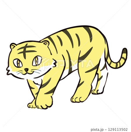 かわいいトラの手描きイラスト 129113502