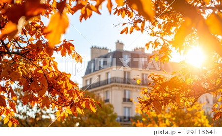 An autumn sky over an old European city with a fiery church and cathedral against a backdrop of orange trees and buildings 129113641