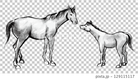 Ink painting of a horse and its cub, material for New Year's cards in the Year of the Horse 129115117