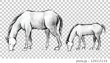 Ink painting of a horse and its child eating grass side by side, material for a New Year's card in the Year of the Horse Ink painting of a horse and its child eating grass side by side, material for a New Year's card in the Year of the Horse 129115119