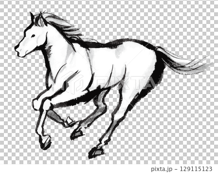 Ink painting of a horse galloping at full speed, material for New Year's cards in the Year of the Horse 129115123