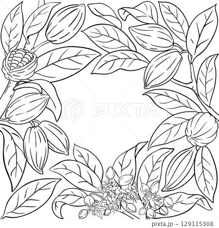 Cocoa Branch with Nuts Outline Frame. 129115308