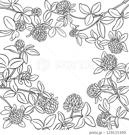 Clover Branch with Flowers Outline Frame. Clover Branch with Flowers Outline Frame. 129115309
