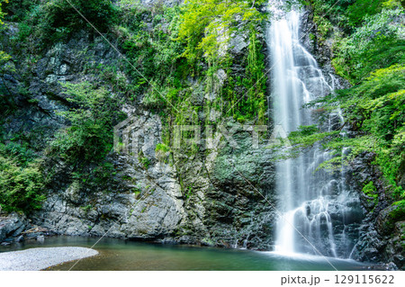 新緑に包まれた滝 129115622
