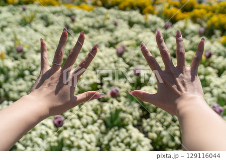 春の花畑に広げた両手② 129116044
