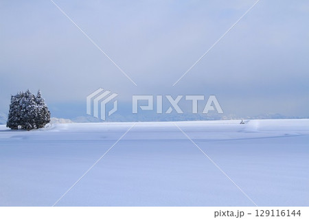 雪原 雪原 129116144