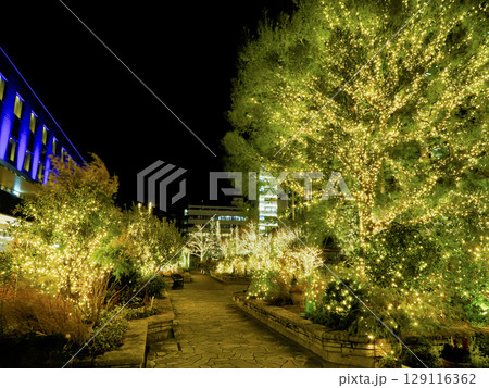 深川ギャザリアの夜景 深川ギャザリアの夜景 129116362