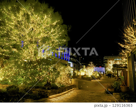 深川ギャザリアの夜景 129116363