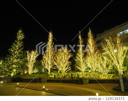 深川ギャザリアの夜景 129116371