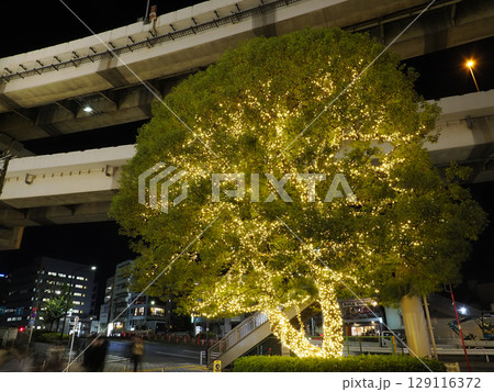 深川ギャザリアの夜景 深川ギャザリアの夜景 129116372