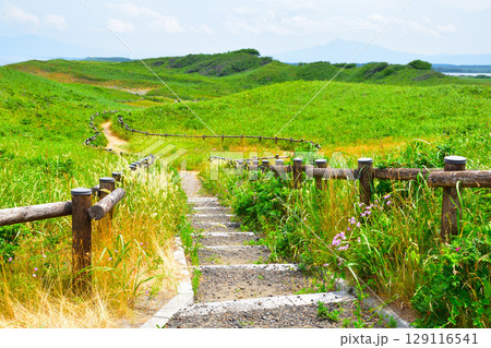 北海道　小清水原生花園 129116541
