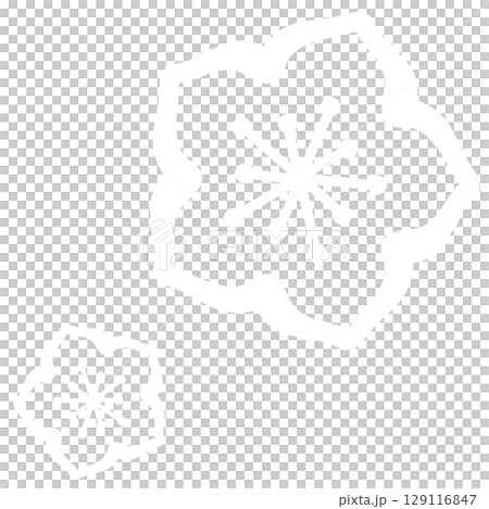 White simple two flower illustration 129116847