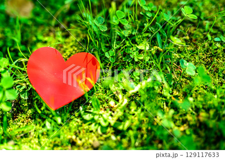自然の草むらにあるハート 環境保護 恋愛 出会い 背景素材 バックグラウンド 昼カラー 自然の草むらにあるハート 環境保護 恋愛 出会い 背景素材 バックグラウンド 昼カラー 129117633