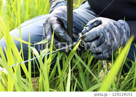 電気牧柵 電気牧柵 129119151
