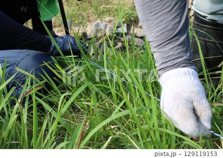 電気牧柵 129119153