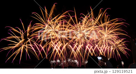 花火 キラキラ輝くもの 線香花火 129119521