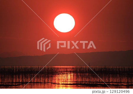 大牟田市　有明海　海苔畑、 129120496