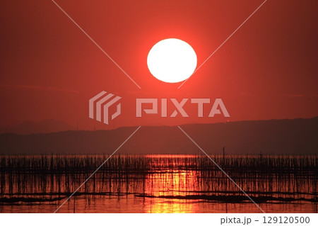 大牟田市　有明海　海苔畑、 129120500