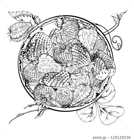 Strawberry served on ceramic dish, full and half cut with leaves tendrils, ripe picked garden berry strasberry harvest. Isolated illustration hand drawn in vector ink. Farmers market grocery preserves Strawberry served on ceramic dish, full and half cut with leaves tendrils, ripe picked garden berry strasberry harvest. Isolated illustration hand drawn in vector ink. Farmers market grocery preserves 129120536