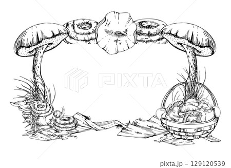 Basket of picked mushrooms on bark with moss lichen growth, horsetail stalks. Copy space frame hand drawn in vector ink. Bolete russula milk-cap fungi forest harvest, raw ingredient for vegan cooking. 129120539
