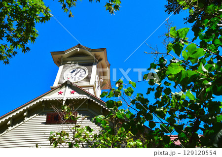 夏　札幌市時計台 129120554